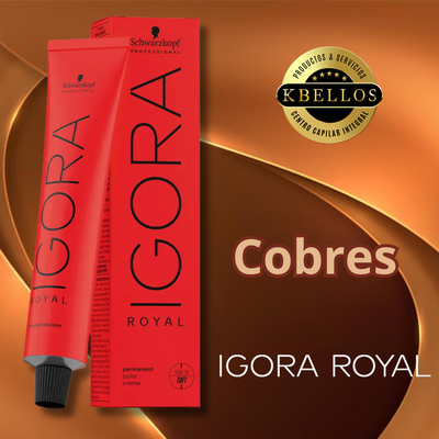 Cobres Igora Royal