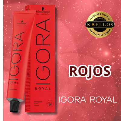 Rojos Igora Royal