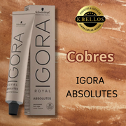Cobres Igora Absolutes