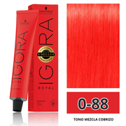 IGORA ROYAL