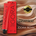 Marrones Igora Royal