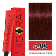 Rojos Igora Royal