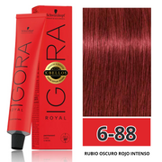 Rojos Igora Royal