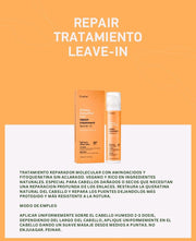 REPAIR TRATAMIENTO DIARIO